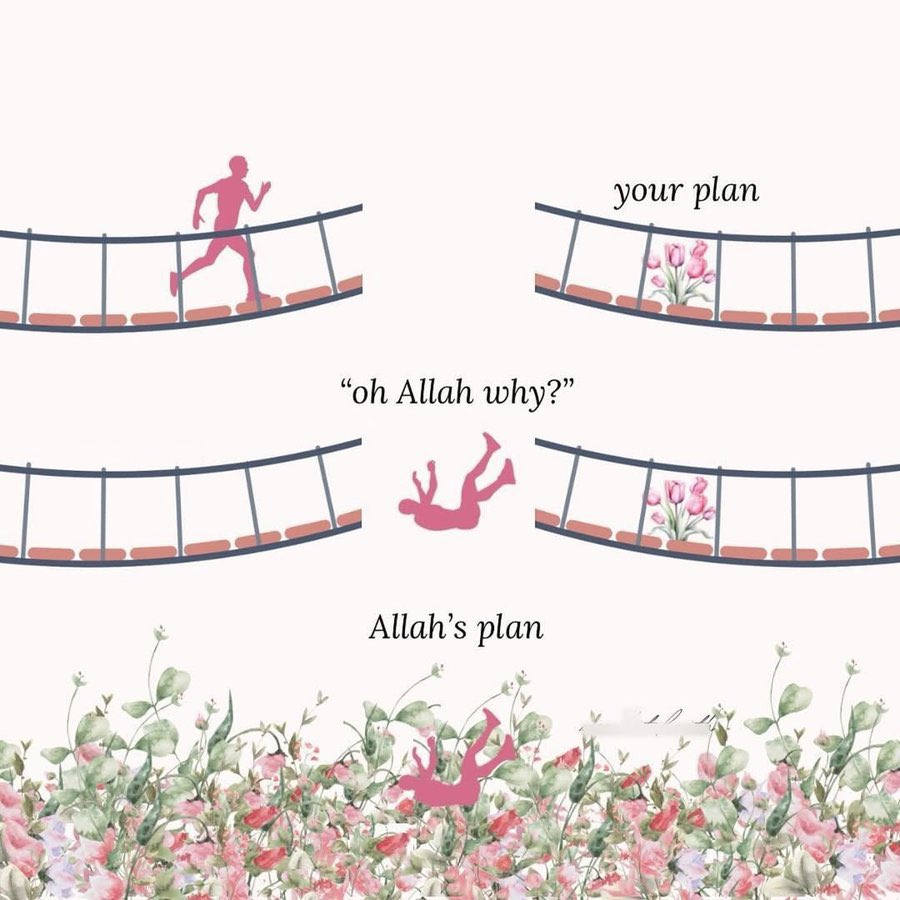aiishadahir's tweet photo. Allah's plan is better than your deepest desires. https://t.co/jfAuG42A0Q