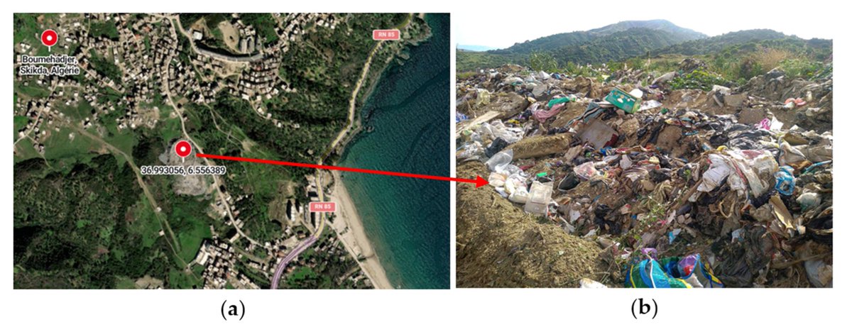 DiversityMDPI's tweet image. 🧪#ReadAlert

🔬Assessing the Biodegradation of Low-Density Polyethylene Films by Candida tropicalis SLNEA04 and Rhodotorula mucilaginosa SLNEA05

♻️by Harrat et al
Article Views 188
#PlasticBiodegradation #MicrobialEcology #Bioplastics #WasteReduction

🌍mdpi.com/1424-2818/16/1…