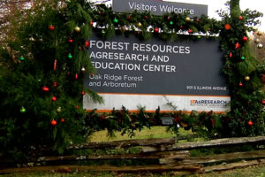 The UT Arboretum Society, UT Forest Resources AgResearch and Education Center and UT AgResearch Leadership, celebrated the Elmore Holly Collection with a dedication event and Christmas lighting on December 7. youtube.com/watch?v=E1BWyA…