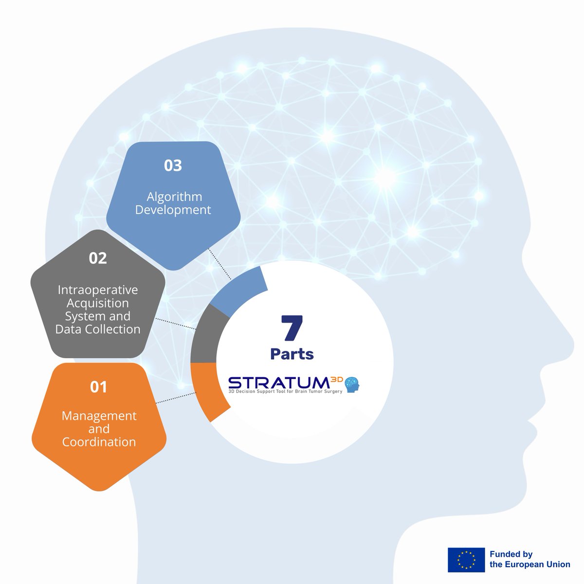 stratum_eu's tweet photo. 𝗣𝗮𝗿𝘁 𝟯, led by TU/e, focuses on designing and developing processing algorithms (including Artificial Intelligence methods) for surgical guidance and diagnostics, integrating pre-stored and in-situ data.

#STRATUMEU #EUfunded #EUCancerMission #HorizonEU https://t.co/g4ruQ3SW9b