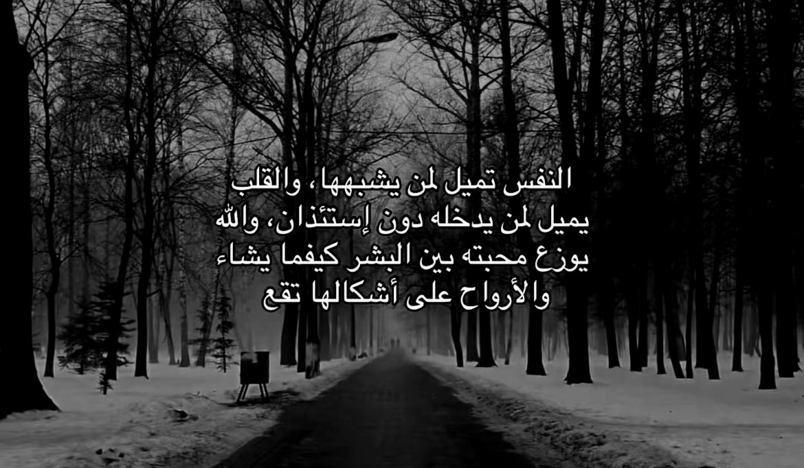 أحلام | Dreams tweet media