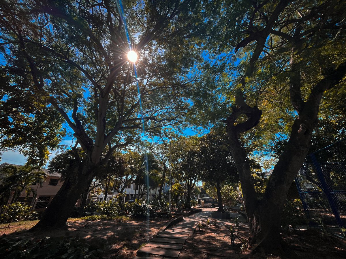 alcaldiabquilla's tweet photo. ¡El ambiente decembrino sí existe!😍🎄

🍃Así se ve y se siente la brisa y el cielo azul desde los parques de nuestra ciudad. #TodosAlParque 💚 https://t.co/eyZJOVS2h2