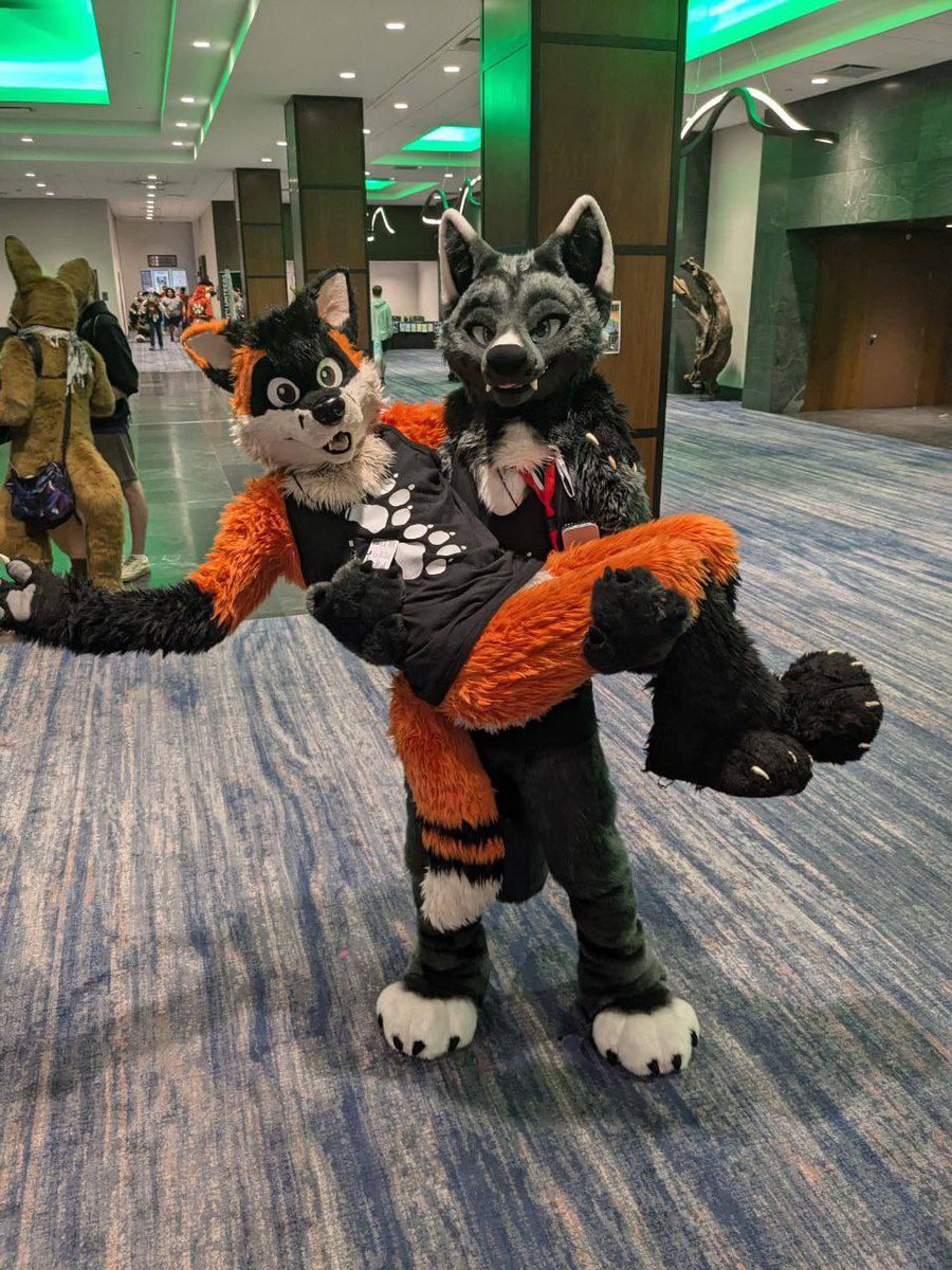 rondofoxcoon's tweet photo. Mutual uppies with my bro @samt517 for  #FursuitFriday ! https://t.co/DL7y4gRD39
