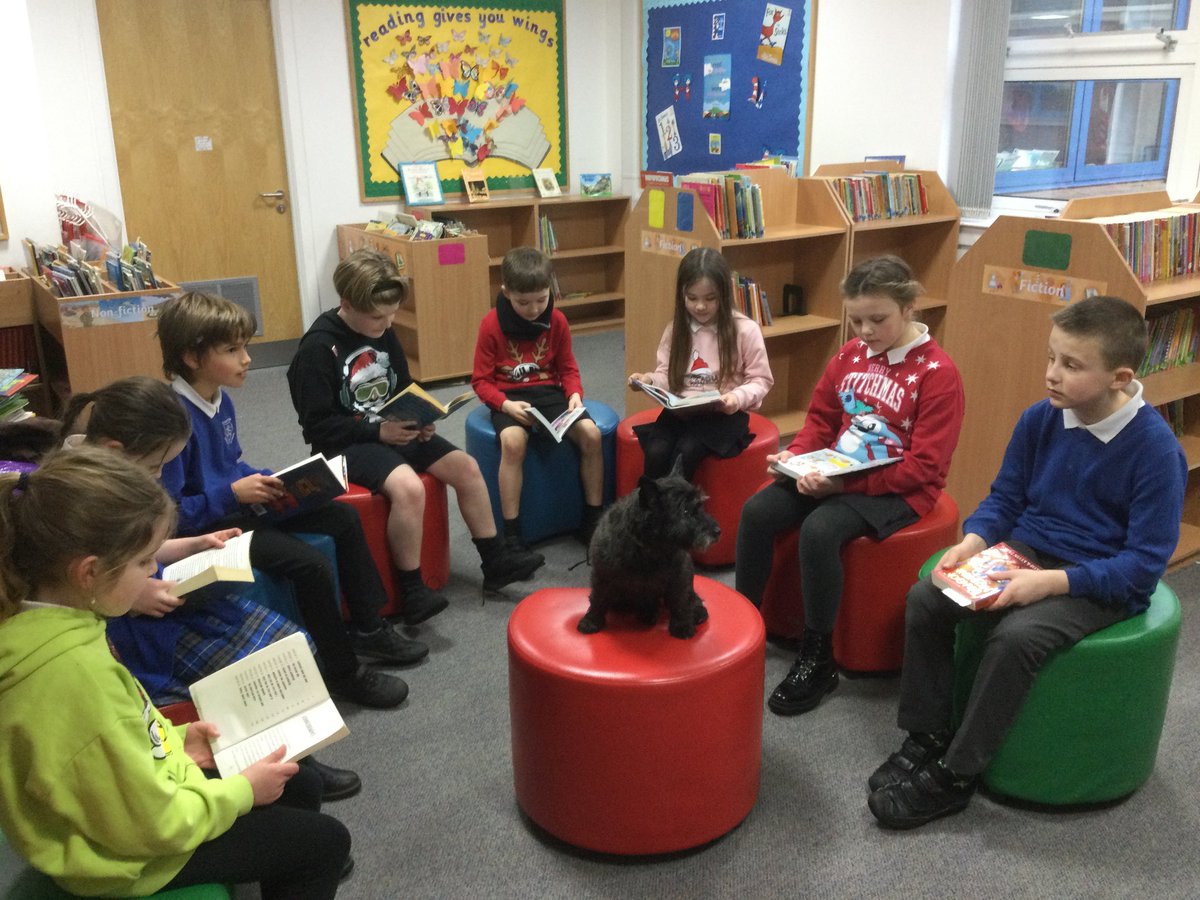 Gargieston's tweet photo. Today we had a visit from Skye, a @TherapetC reading dog. She visited our P4s in the library. Skye sat beautifully and listened to the children reading. They even got to give her a wee pet. #therapet #readingdog https://t.co/pAcsqZFlQy
