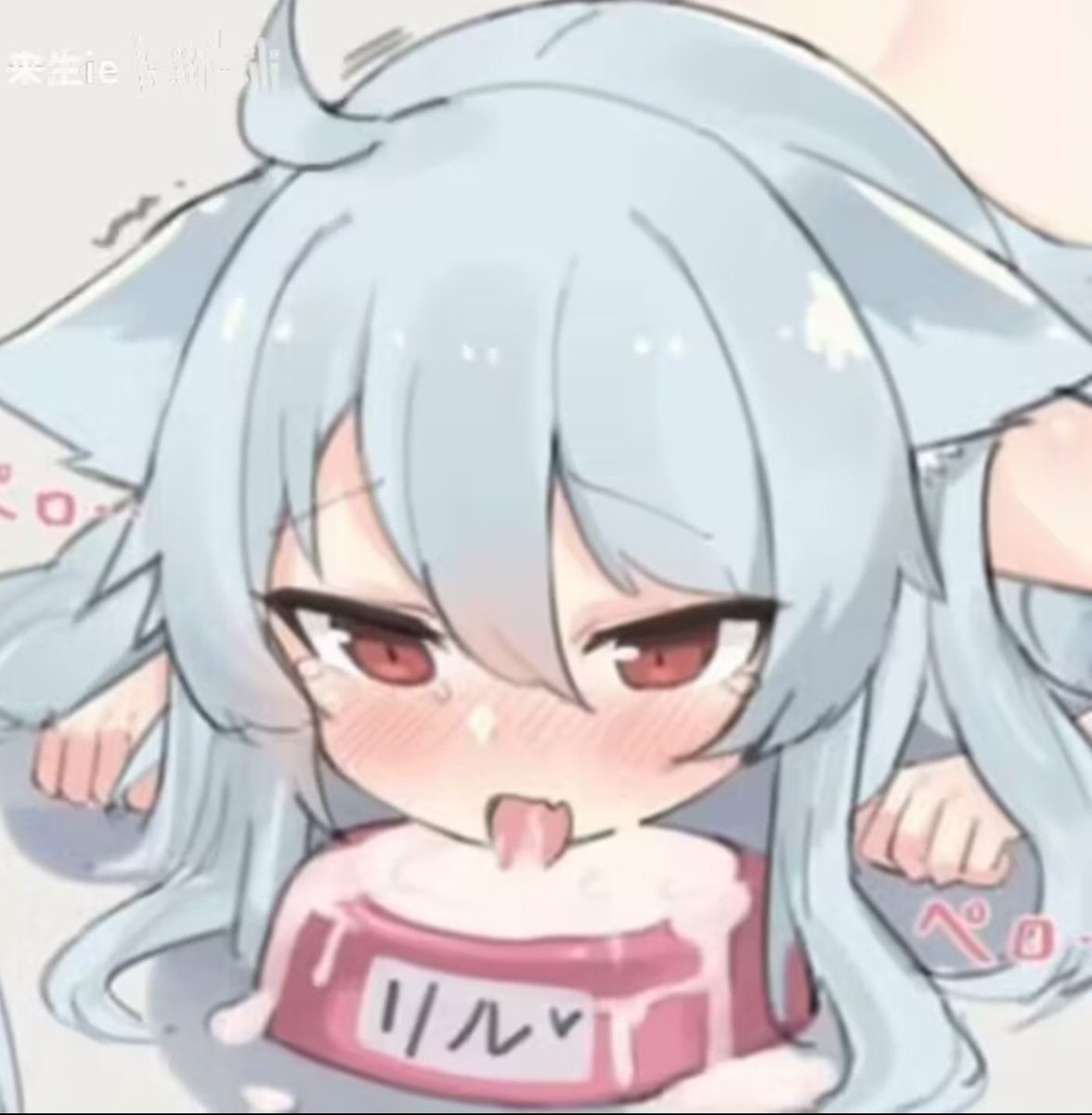 IP广州及周边

🚪50，发口令红包，不过🚪不理，之后详细聊地点时间什么的。照片可以看以前推文

提供服务:
圆角次1000，夜1500（我准备试纸和套）
陪睡999可亲可摸

还有就是有衣服需求和什么需求可以跟我说，尽量满足就是了  #男娘
#圆角 #药娘