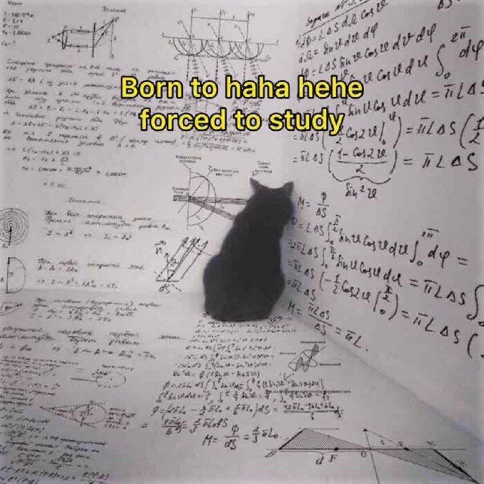 LiterallyMeCats (@literallymecats) on Twitter photo 