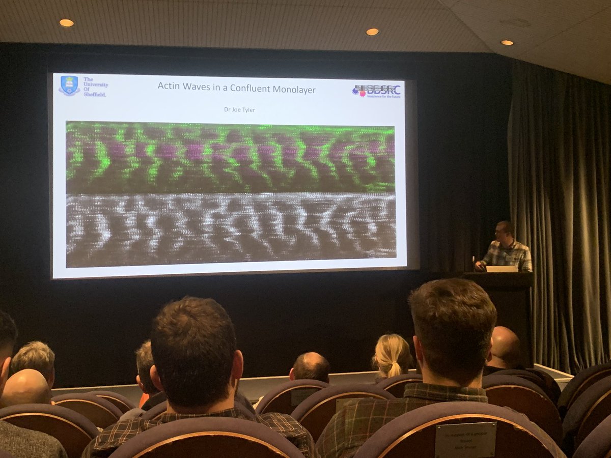 MegPoxon's tweet image. Great day at #actin2024 featuring lots of v cool talks, including our very own @rachellawson954, @ZheBao_Sheff and @jtyler91 ✨