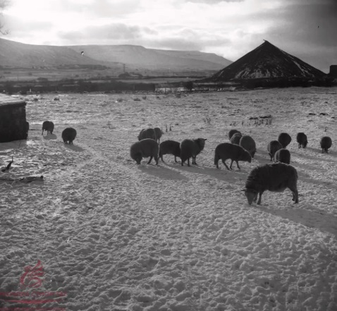 Croeso i RhCT | Visit RCT tweet media