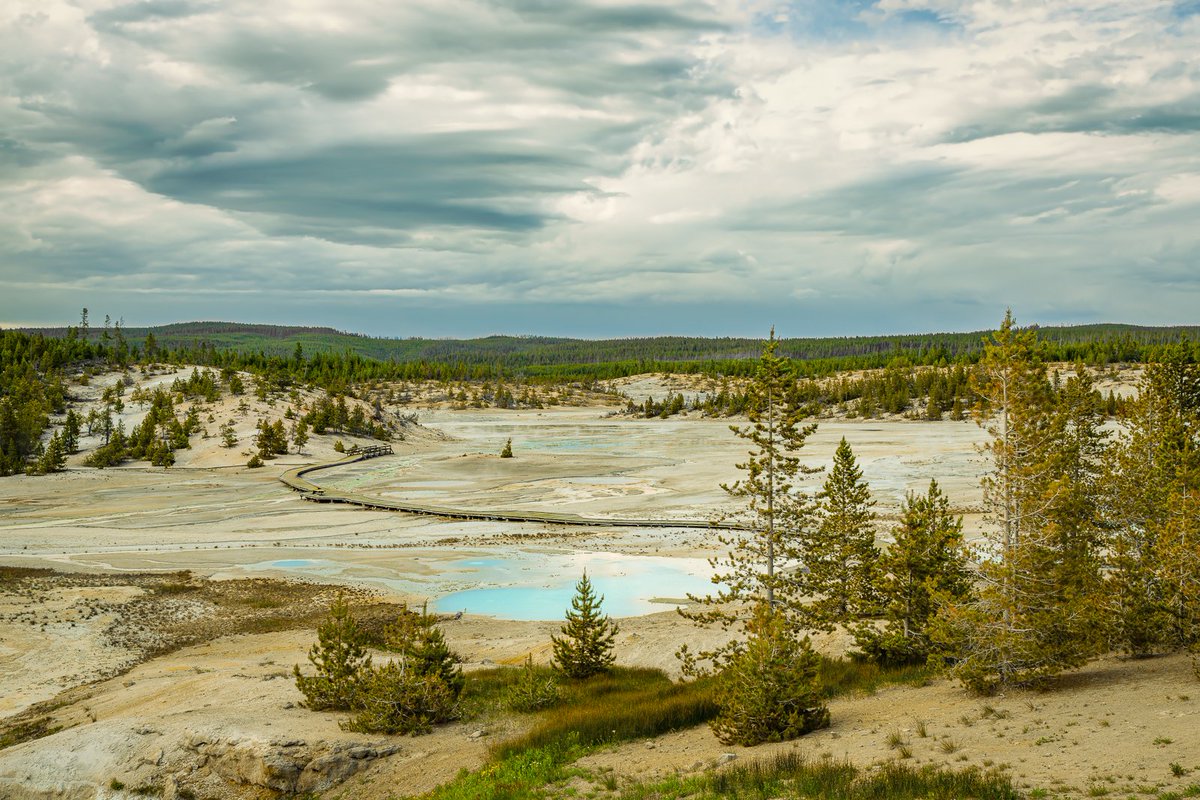 The stark beauty of the Norris Geyser Basin at Yellowstone National Park is on display here combining desolation and wonders of Nature. #travel #wildness #nature
pixels.com/featured/norri…