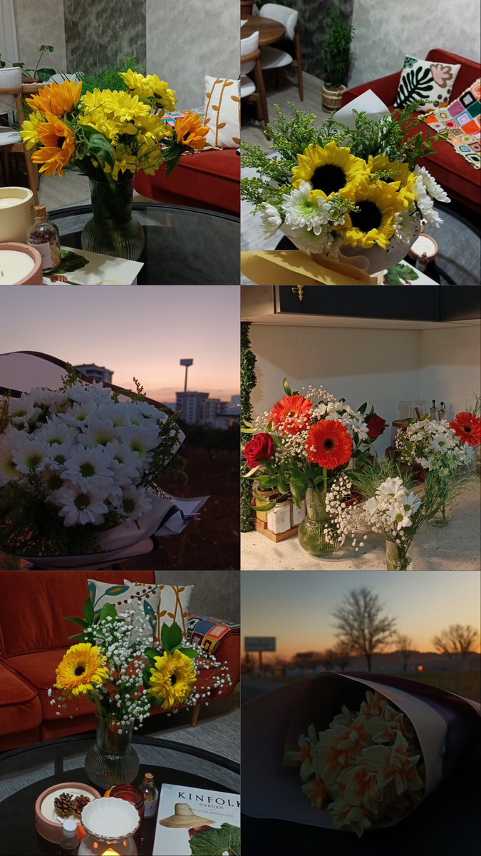 rcilogullari's tweet photo. Ben bu tweeti görene kadar 12 ayın hiçbirini çiçeksiz geçirmediğimi fark etmemiştim🫠🧿 https://t.co/M3eXZGf0rn