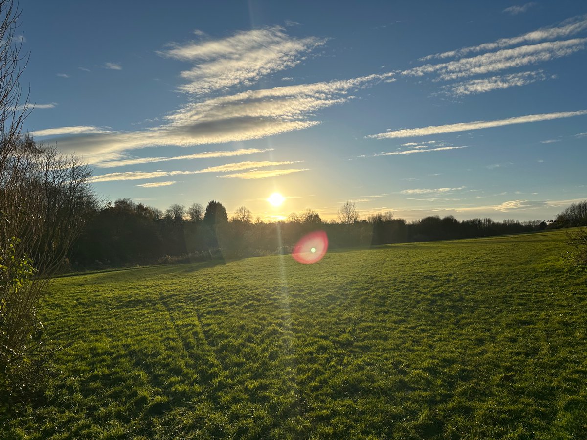 Tom Zimbardo tweet media