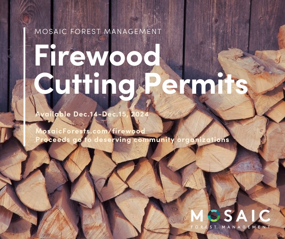 mosaicforests's tweet image. Firewood cutting permits are available in designated North, Central and Southern Vancouver Island locations this Saturday and Sunday on Mosaic's forest lands, with proceeds going to deserving community organizations. Visit MosaicForests.com/firewood #firewood #VancouverIsland