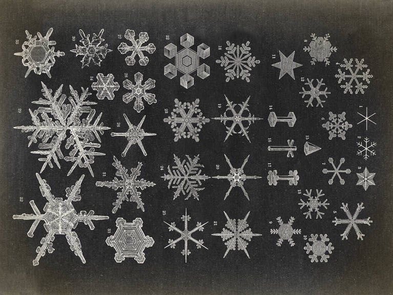 prtygal777's tweet image. The beauty of Snowflakes