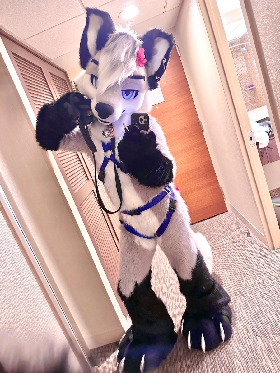 mff was fantastical 💕 thanks for all the hugs, uppies, and good vibes! 🙂‍↕️🌹 #mff2024 #fursuitfriday