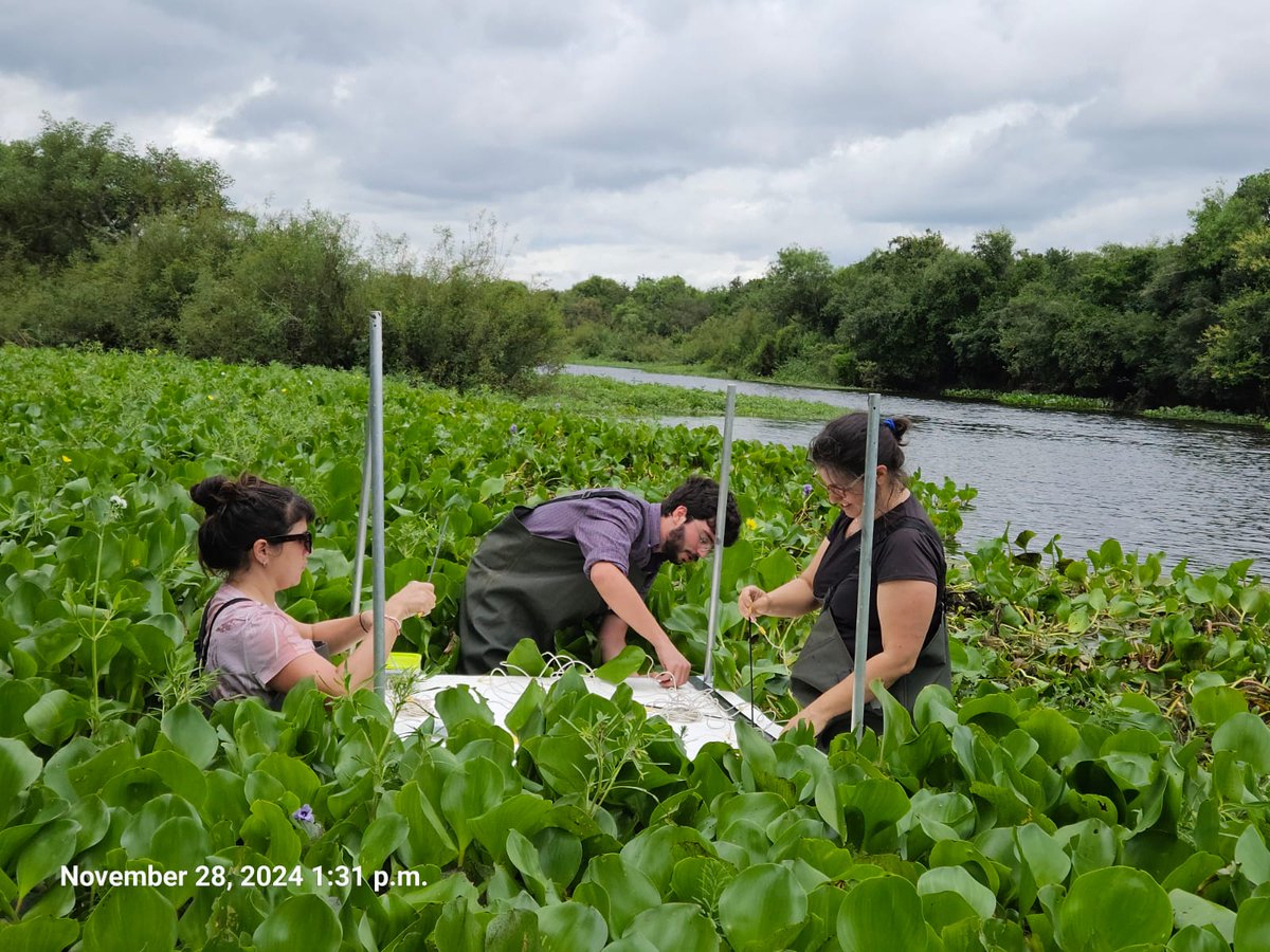 BConducta's tweet image. Que gusto haber recibido a @VL_Salazar de @cbuniversity en el @IIBCE para trabajar juntxs en su estadía de sabático! Desde la laguna a la mesada: transcriptómica dia/ noche asociada a la conducta natural. Un disfrute! 😁 @CronobiologiaU