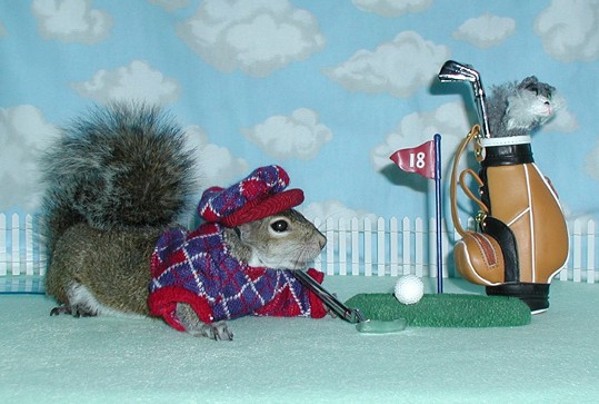 This was the photo right before the ball rolled in for a hole-in-one.