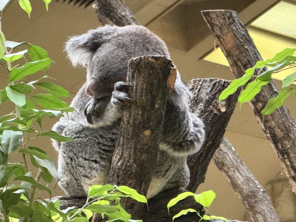 無事に新幹線を降りて、家までもう少し。隣に並んでいた人がいきなり私の足元に倒れて、駅員さんが飛んできてくれる。飲み過ぎらしくエチケット袋を渡されて同じ電車に乗り込んだ。あの人がちゃんと家にたどり着けますように。ライブの後っていつもふわふわして不思議な感覚になるな。
