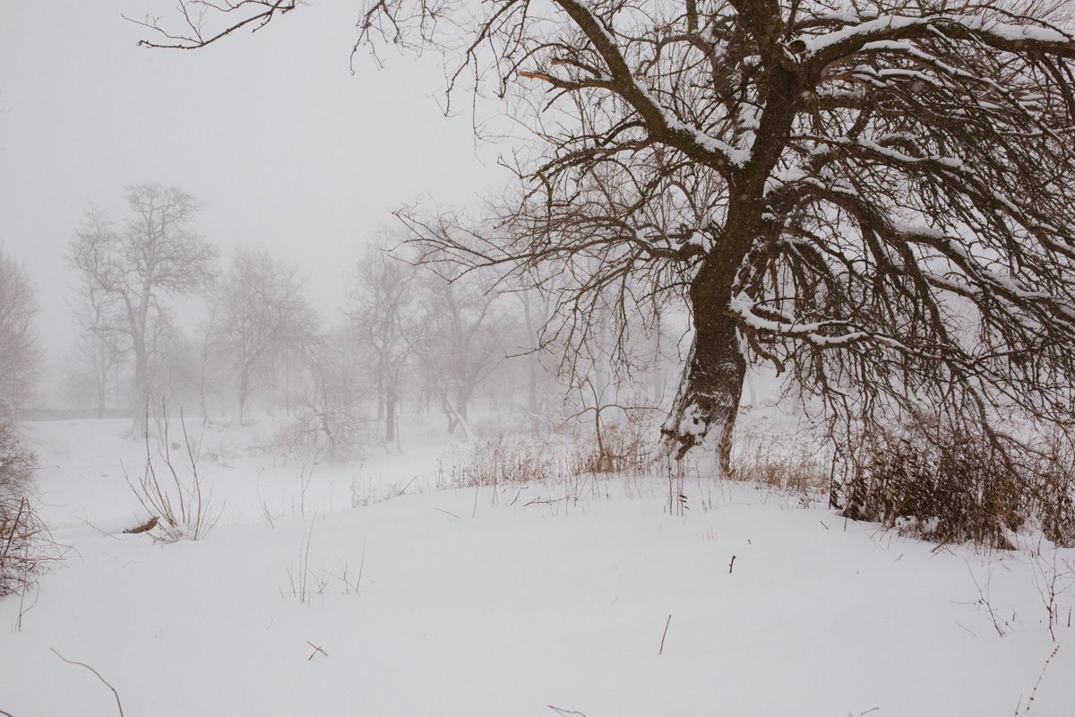 Btw, this is what the midwest looks like during the winter. Just in case you're wondering why it's so cheap.