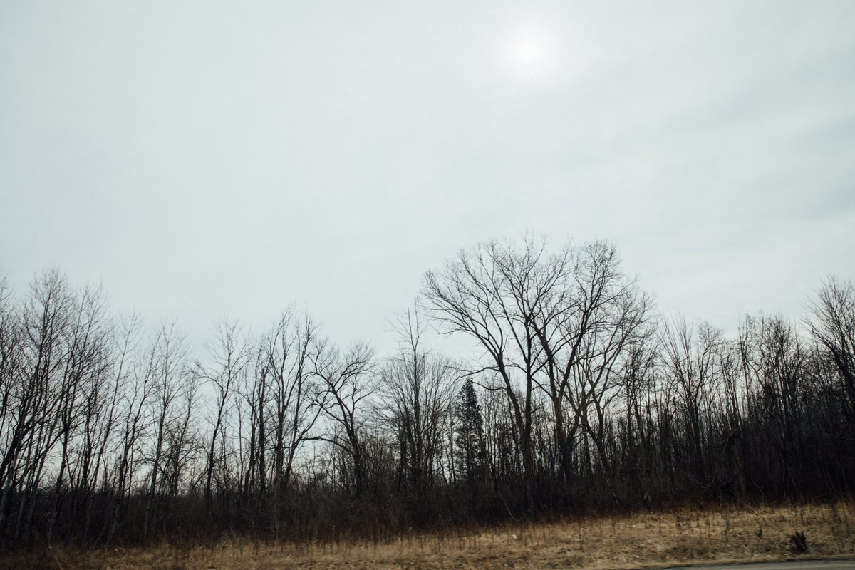 Sandy Noto tweet media