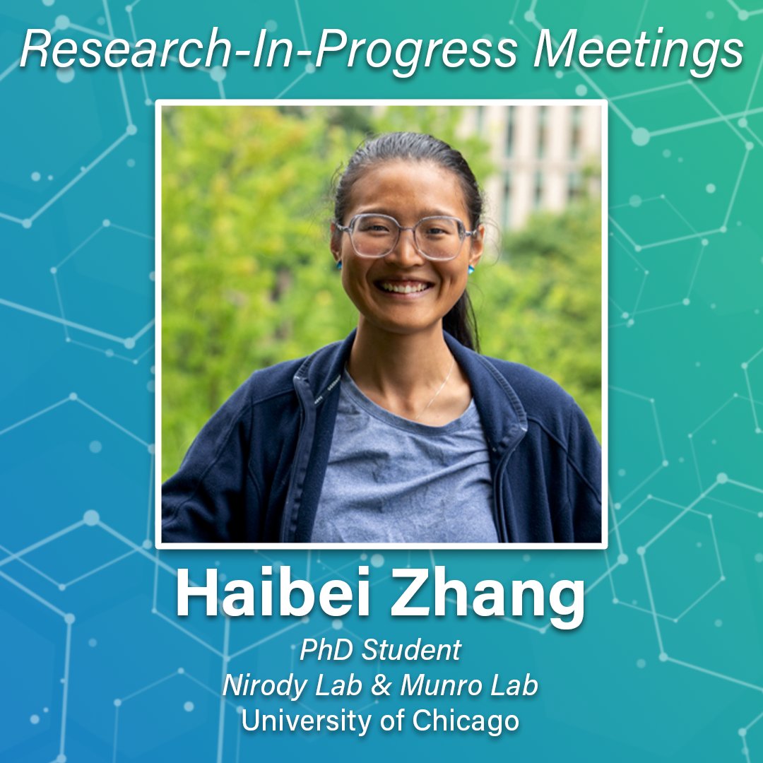 NSF-Simons NITMB (@nitmb_chicago) on Twitter photo This week’s Research-In-Progress meeting features Haibei Zhang, PhD Student in the <a href="/jasnir_/">Jasmine Nirody</a> Lab and Munro Lab at <a href="/UChicago/">The University of Chicago</a>!
Research-In-Progress is a venue for the NITMB community to discuss planned or in-progress work This week’s Research-In-Progress meeting features Haibei Zhang, PhD Student in the <a href="/jasnir_/">Jasmine Nirody</a> Lab and Munro Lab at <a href="/UChicago/">The University of Chicago</a>!
Research-In-Progress is a venue for the NITMB community to discuss planned or in-progress work