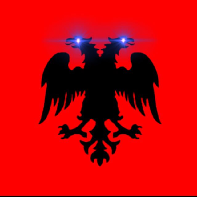 EeOo111_'s tweet image. This old Albanian eagle goes so hard.
#ALBANIAN #ILLYRIAN
