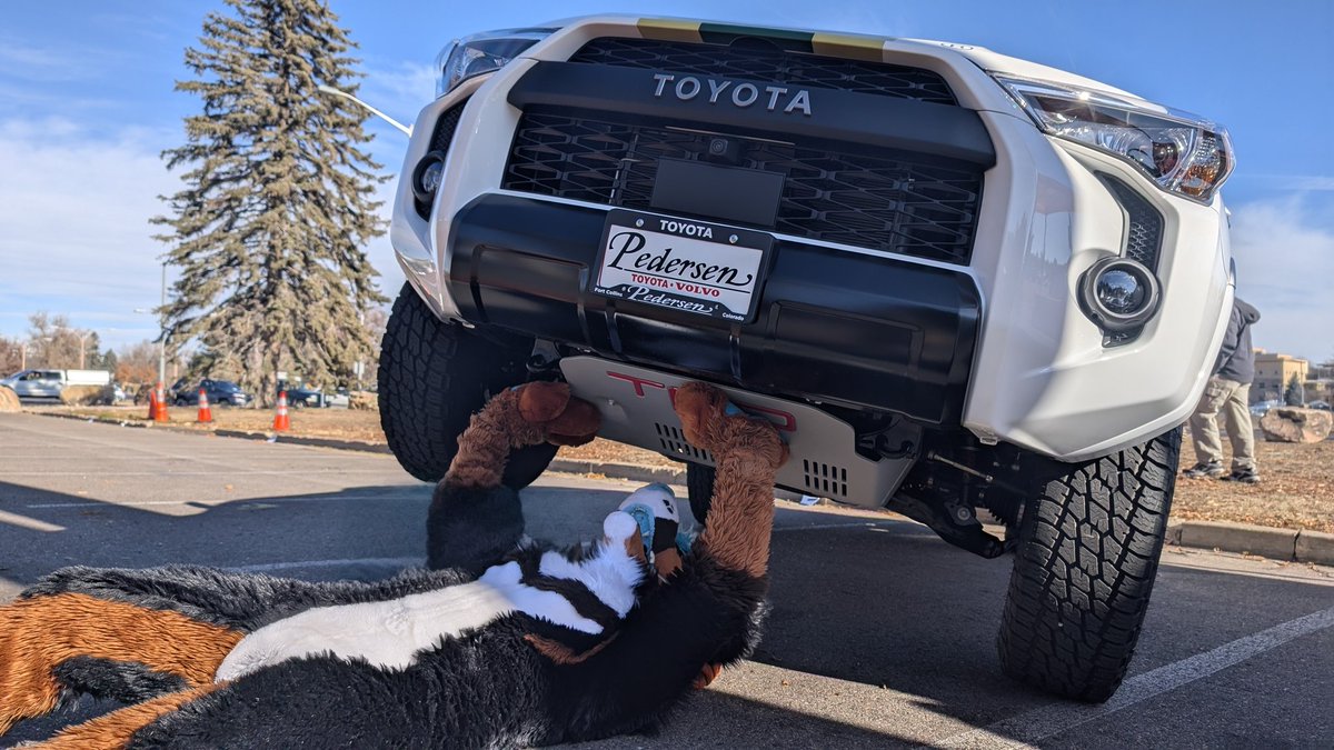 Rrruff | @rrruff.cofurries.social tweet media