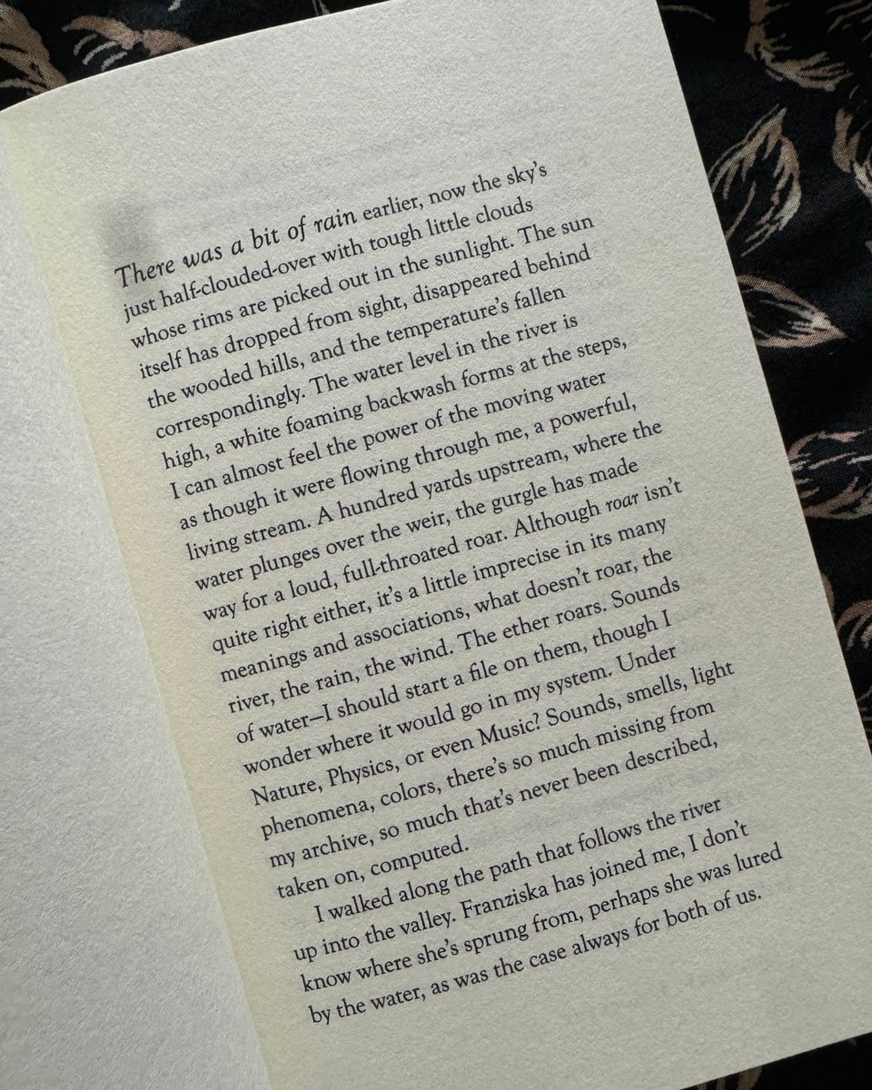 #FirstLineFriday
"There was a bit of rain earlier, now the sky's just half-clouded-over with tough little clouds whose rims are picked out in the sunlight." - THE ARCHIVE OF FEELINGS by Peter Stamm