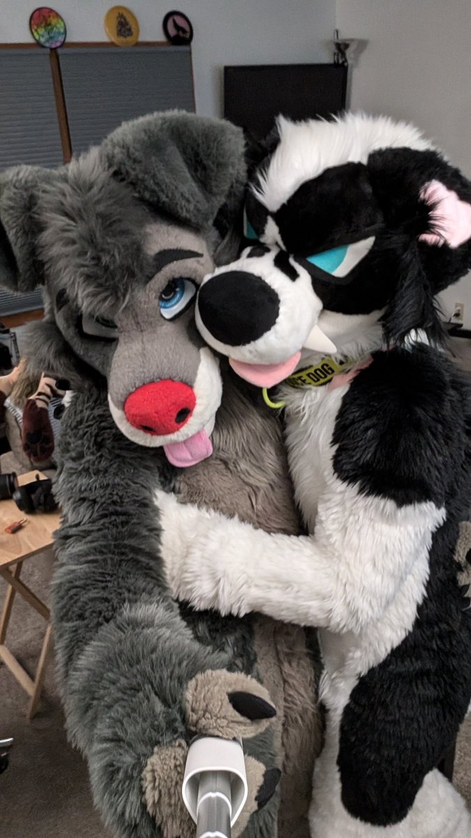 These two collies, together? Looks like mischief in the making... 

#FursuitFriday

(Stunt pilot for black and white doggo: <a href="/RyeTheYote/">Rye</a>)

🪡 <a href="/FursuitParade/">Fursuit Parade</a>