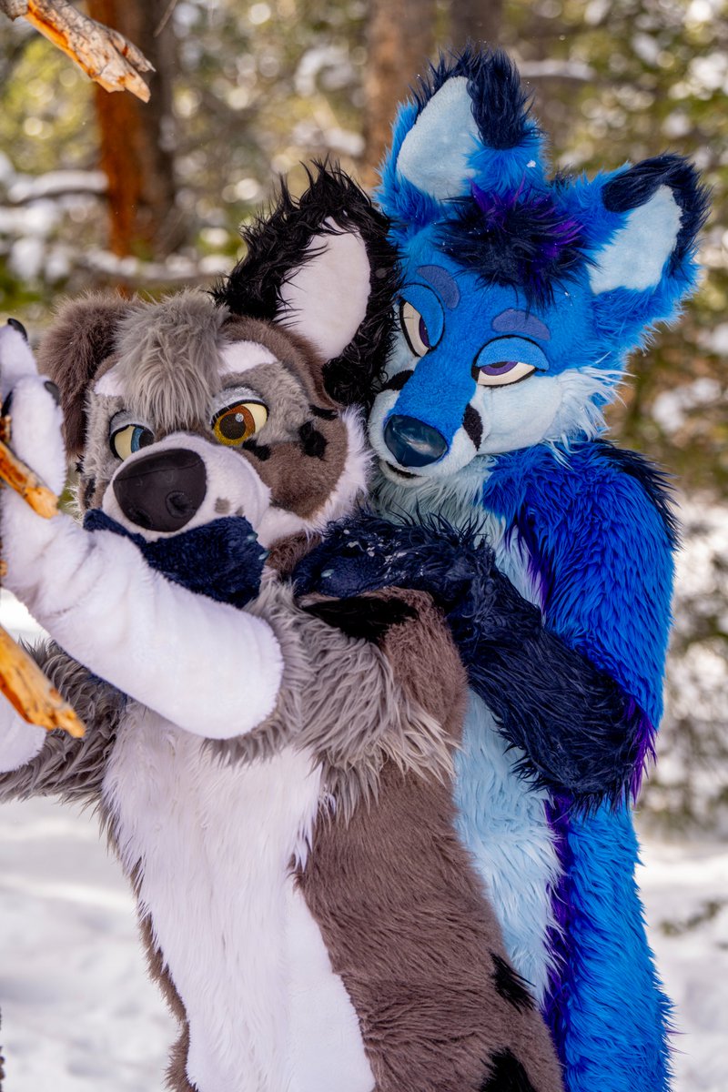 Dexter Shepherd (@dextershepherd) on Twitter photo Hey <a href="/EtchyEtch/">Etchy ๐ MP</a> Have you heard of the Mind Goblins before?
Etchy: "The mind goblins????"
Me: "Mind goblin deez nuts!!"
Etchy: *Puts paw over muzzle*
Etchy: "For the love of god shut the fuck up"
Picture by <a href="/KooperShiba/">๐๐๐๐๐๐ ๐</a>
#FursuitFriday Hey <a href="/EtchyEtch/">Etchy ๐ MP</a> Have you heard of the Mind Goblins before?
Etchy: "The mind goblins????"
Me: "Mind goblin deez nuts!!"
Etchy: *Puts paw over muzzle*
Etchy: "For the love of god shut the fuck up"
Picture by <a href="/KooperShiba/">๐๐๐๐๐๐ ๐</a>
#FursuitFriday