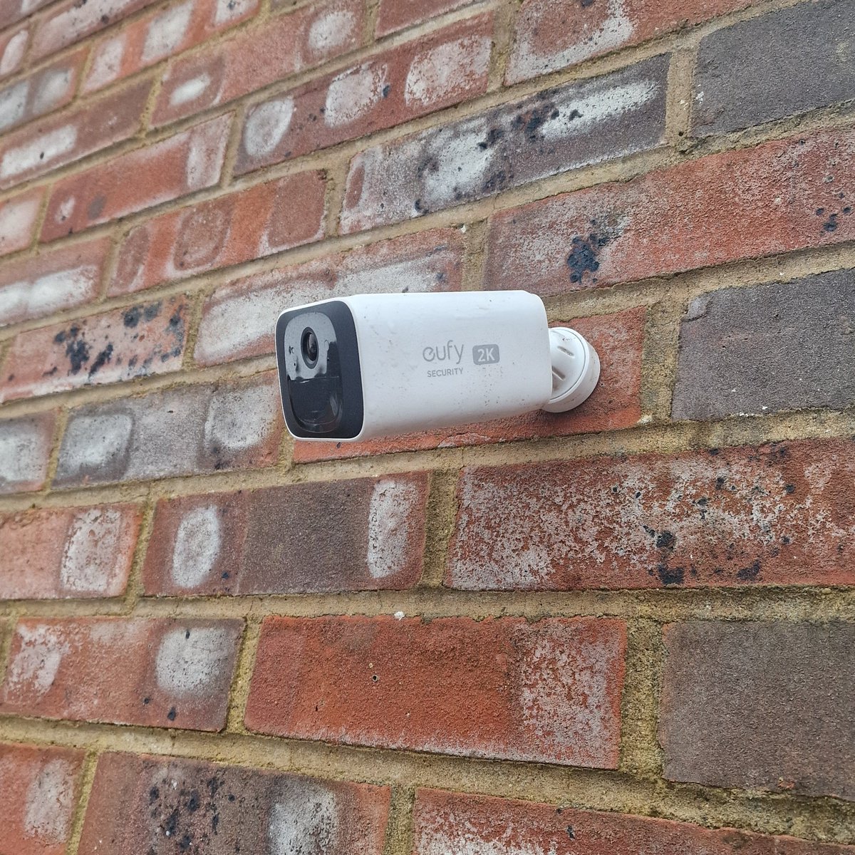 Chris Manton tweet media