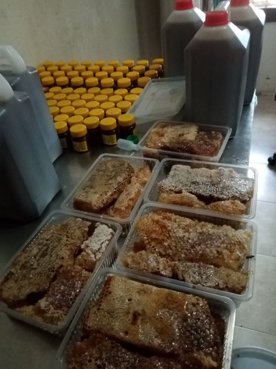 Honey processing pl ant at Bee House Productsin Najjera1, Kampala