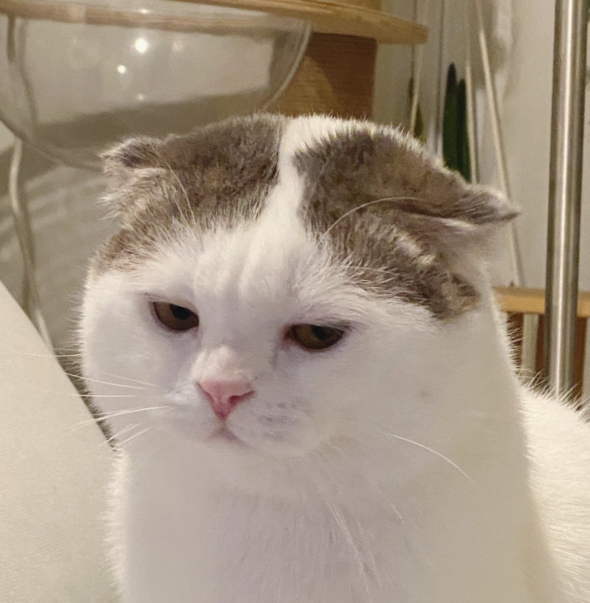 .jgj (@jiewliewnjiggo) on Twitter photo 