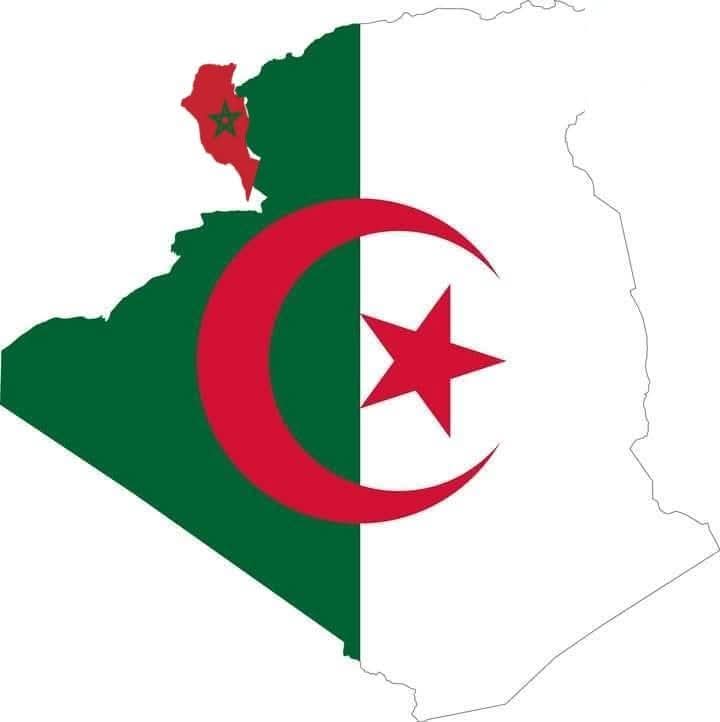 ibras64's tweet photo. الصرصور العالق في جنبنا الغربي 😜 https://t.co/sJzQNwyR7b