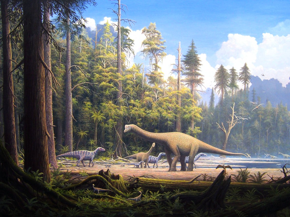 Le_Museum's tweet photo. 🦕🌲 Au risque de décevoir les fans de #JurassicPark, il n'y avait pas de T. rex ni de Tricératops, ni fleurs ni herbe au #Jurassique !
Mais à quoi ressemblait la #biodiversité il y environ 200 millions d'années ? 👉 https://t.co/iCLMcYgP9z
#JurassiqueIlluminé https://t.co/vhaOkfBE2G
