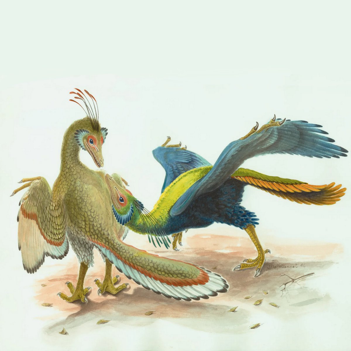 🦕🌲 Au risque de décevoir les fans de #JurassicPark, il n'y avait pas de T. rex ni de Tricératops, ni fleurs ni herbe au #Jurassique !
Mais à quoi ressemblait la #biodiversité il y environ 200 millions d'années ? 👉 mnhn.fr/fr/le-jurassiq…
#JurassiqueIlluminé