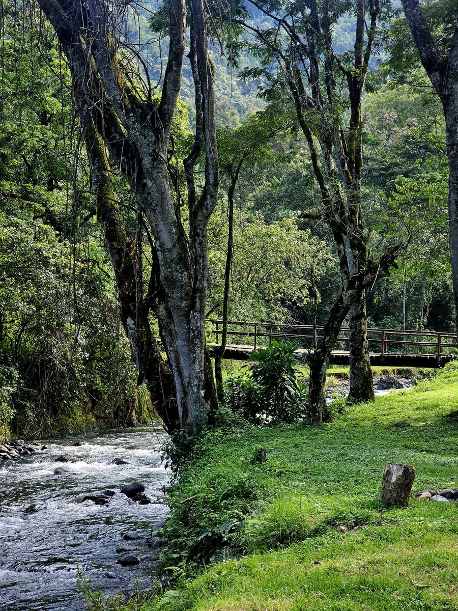 We're outside 🤩🤩
📍 Gura river camp, Nyeri County