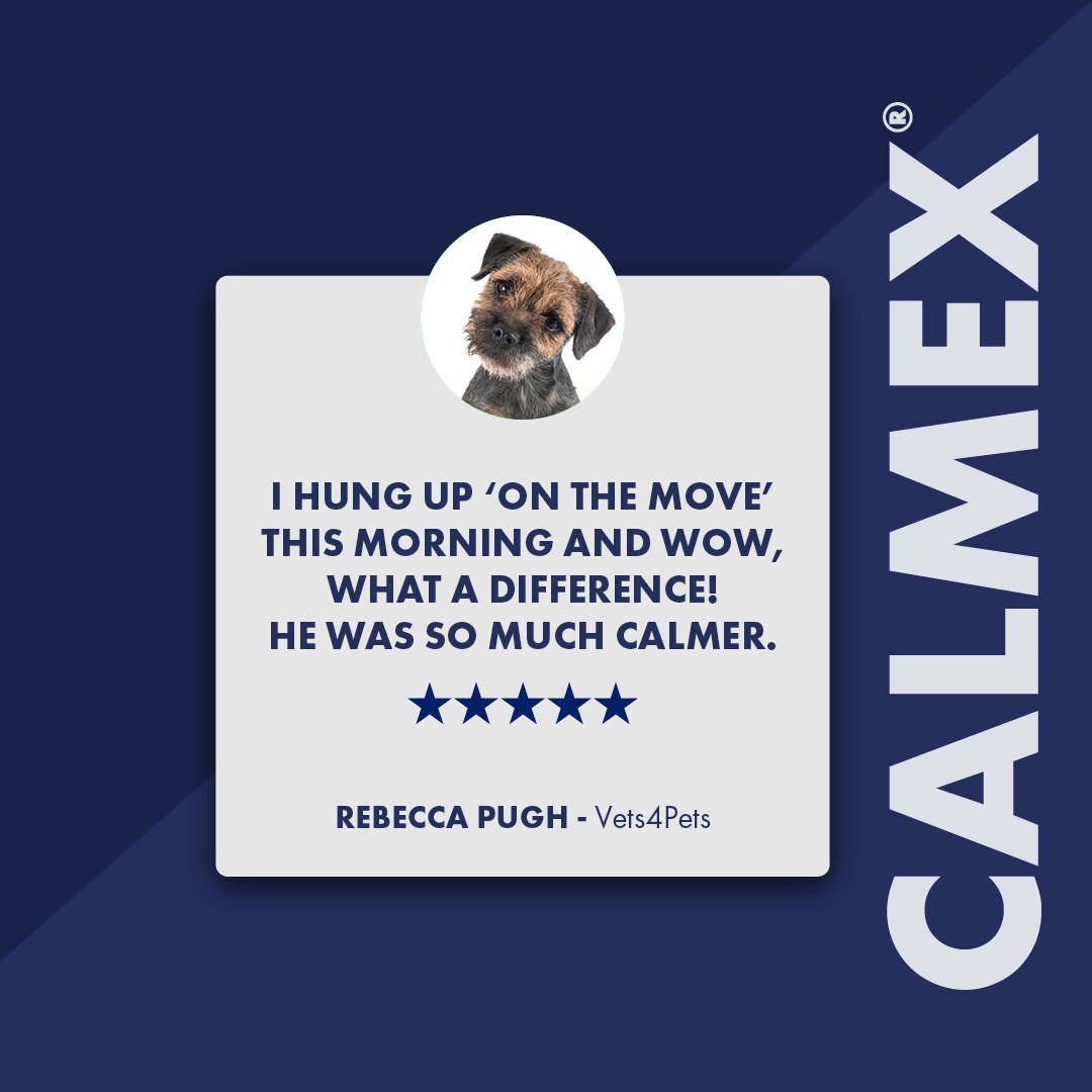 What a fab product! My 3-year-old Border Terrier is very stressy and vocal in the car, especially when he recognises where he is going. I hung up ‘on the move’ this morning and wow, what a difference. He was so much calmer.

Rebecca Pugh, 
Vets4Pets Mansfield (JVP)