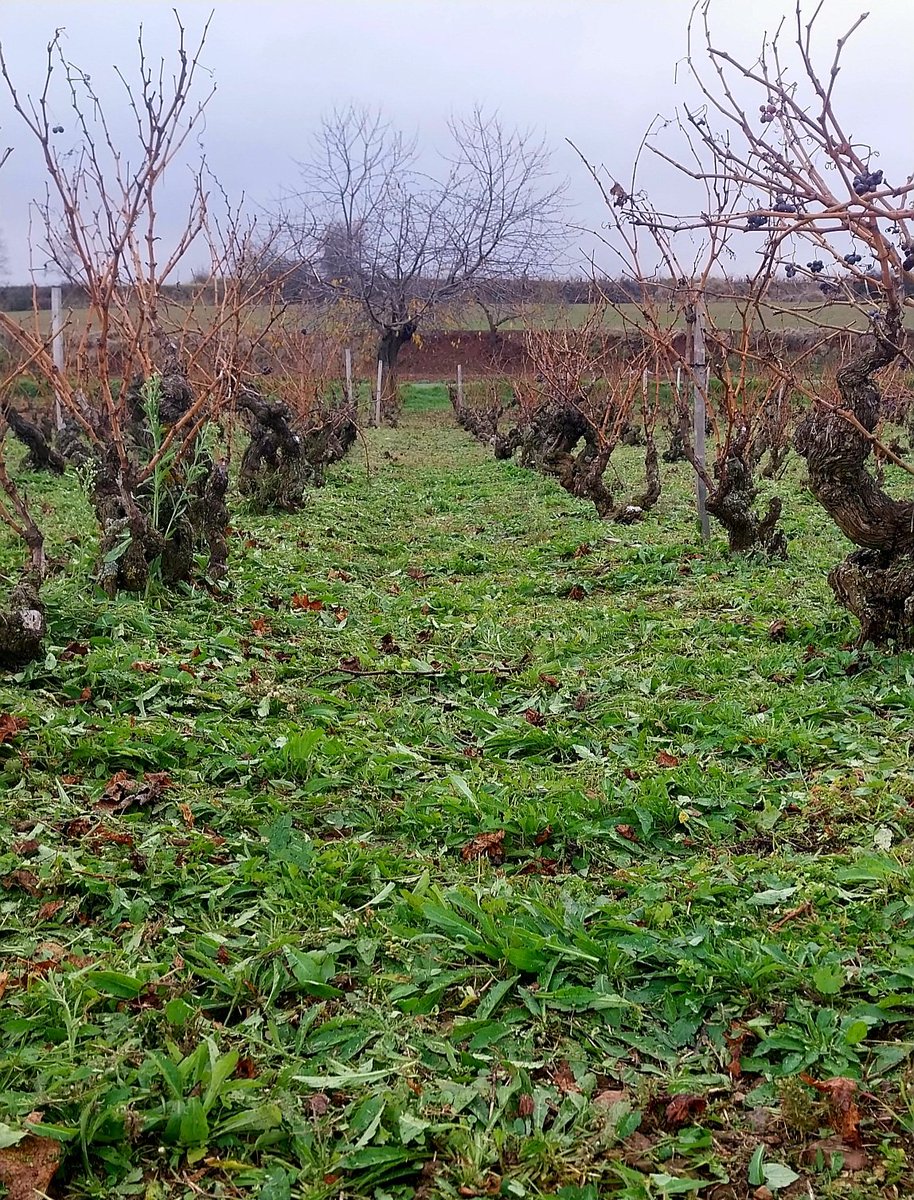 Sergio MB (@sergiomabal) on Twitter photo 