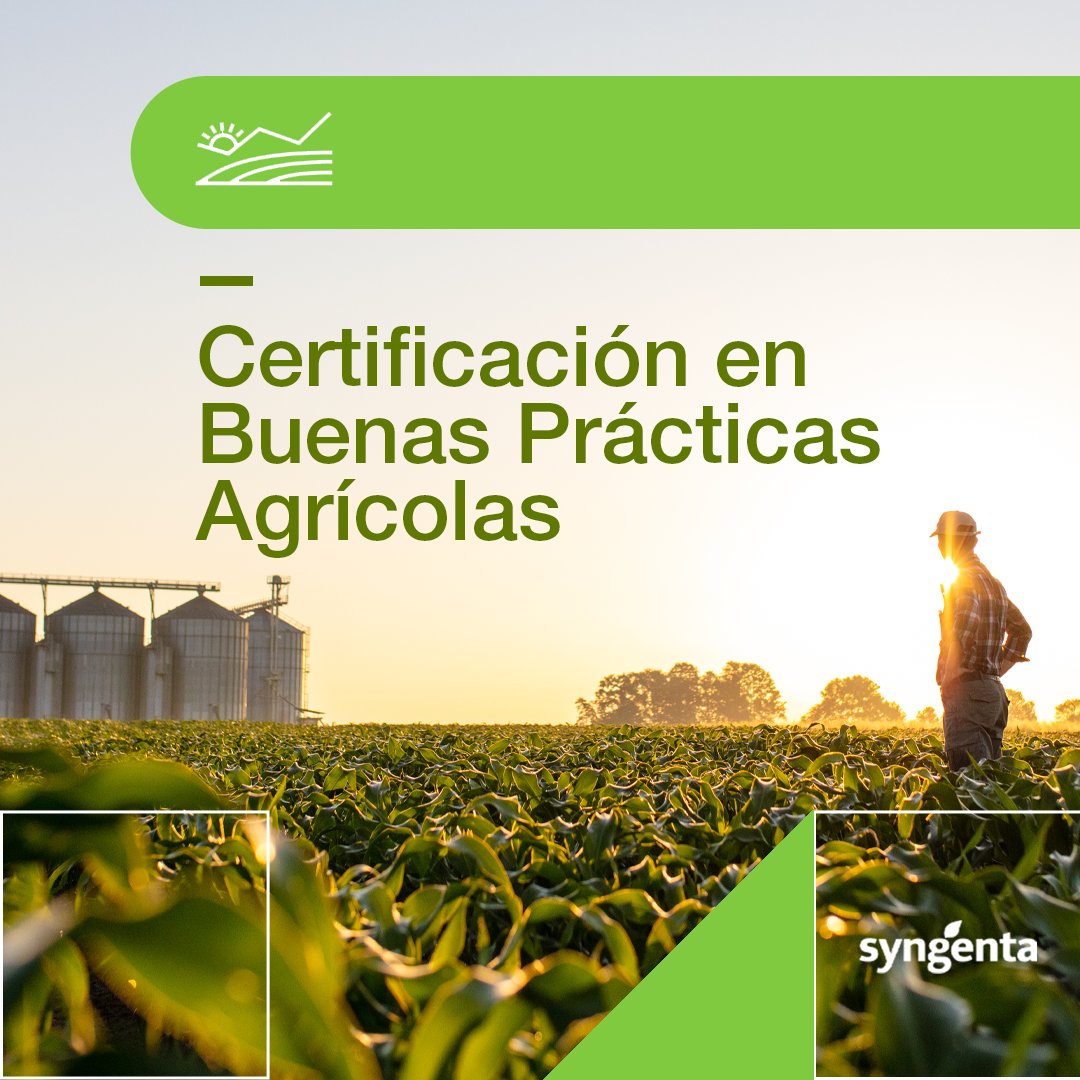 Syngenta Argentina tweet media