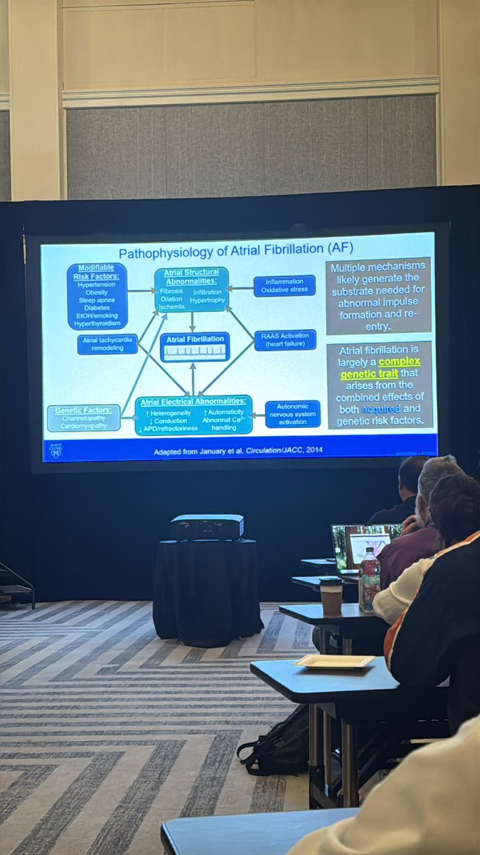 Mayo Clinic Genetic Heart Rhythm Clinic (@mayoclinicwsrgh) on Twitter photo Back with us today is <a href="/JohnGiudicessi/">John Giudicessi MD, PhD</a> discussing the fibrillating heart, exploring the genetic factors behind atrial and ventricular fibrillation, and how these insights are shaping diagnosis and treatment approaches.<a href="/MayoClinicCV/">Mayo Clinic CV</a> #Afib #Arrhythmias #CardiovascularGenetics #GHRC Back with us today is <a href="/JohnGiudicessi/">John Giudicessi MD, PhD</a> discussing the fibrillating heart, exploring the genetic factors behind atrial and ventricular fibrillation, and how these insights are shaping diagnosis and treatment approaches.<a href="/MayoClinicCV/">Mayo Clinic CV</a> #Afib #Arrhythmias #CardiovascularGenetics #GHRC