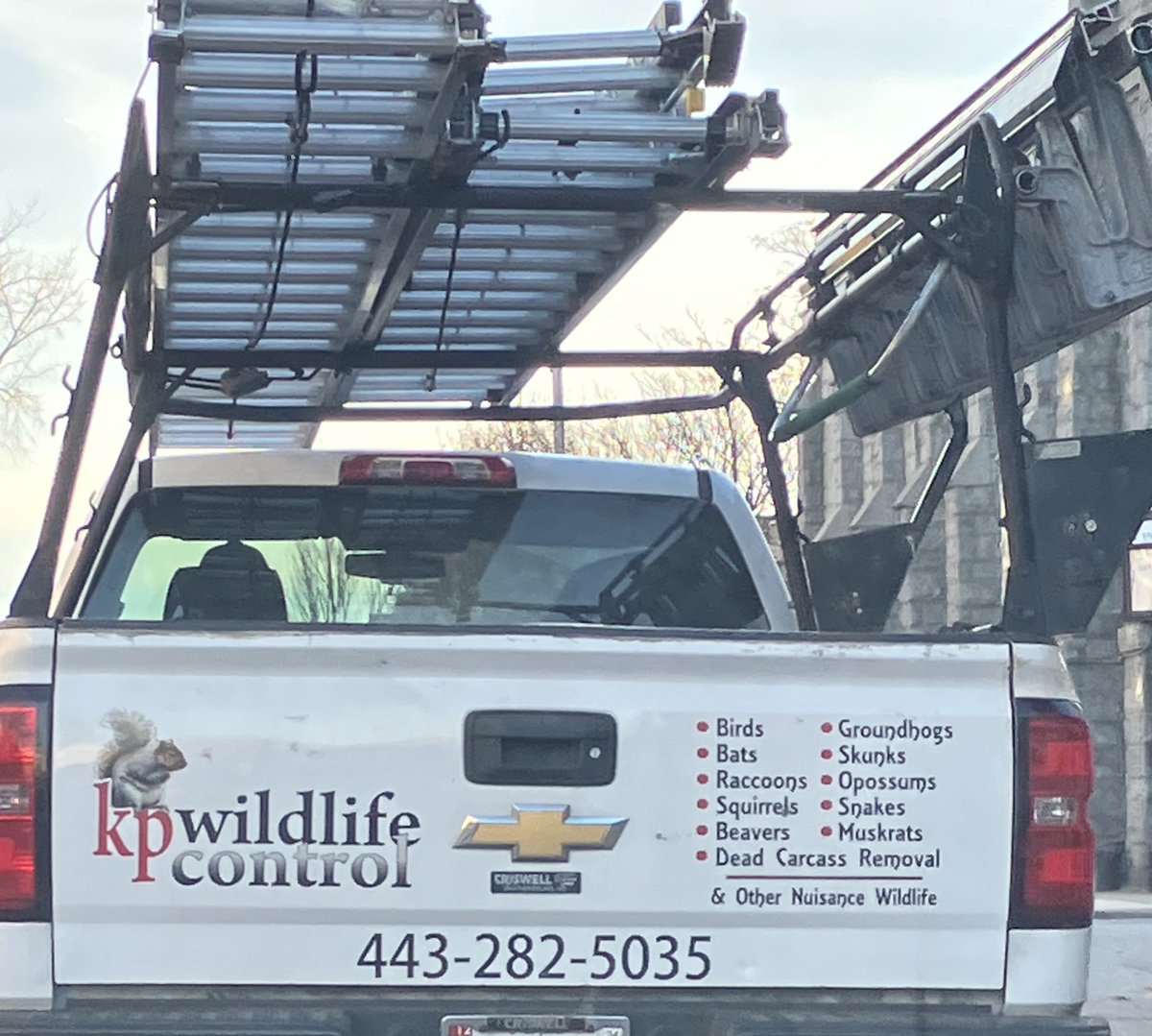 Beavers and groundhogs you’re on notice #caddyshack