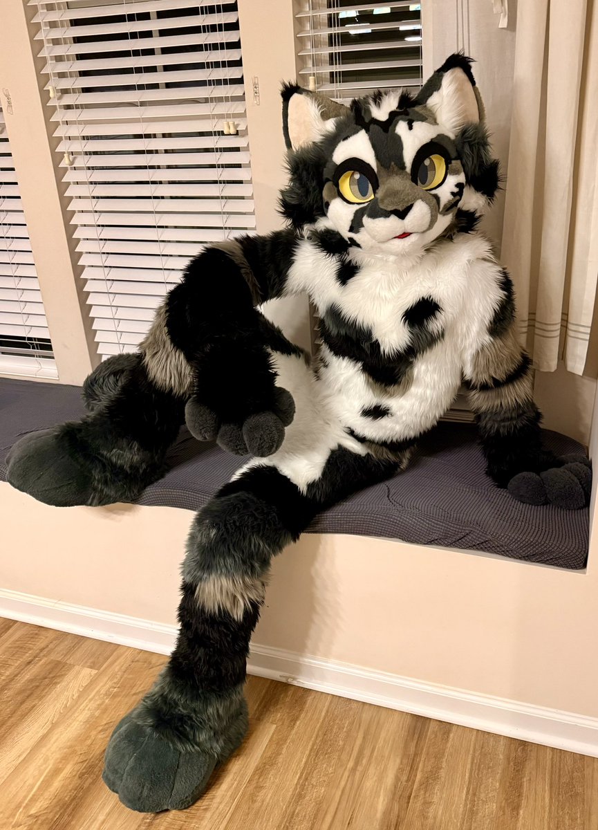 Nibs Meoi (@nibsmeoi) on Twitter photo It’s Nibs’s new fullbody suit from <a href="/ScarletWingsFS/">Scarlet Wings Fursuits</a> for #FursuitFriday ! He’s glad to meet you! It’s Nibs’s new fullbody suit from <a href="/ScarletWingsFS/">Scarlet Wings Fursuits</a> for #FursuitFriday ! He’s glad to meet you!
