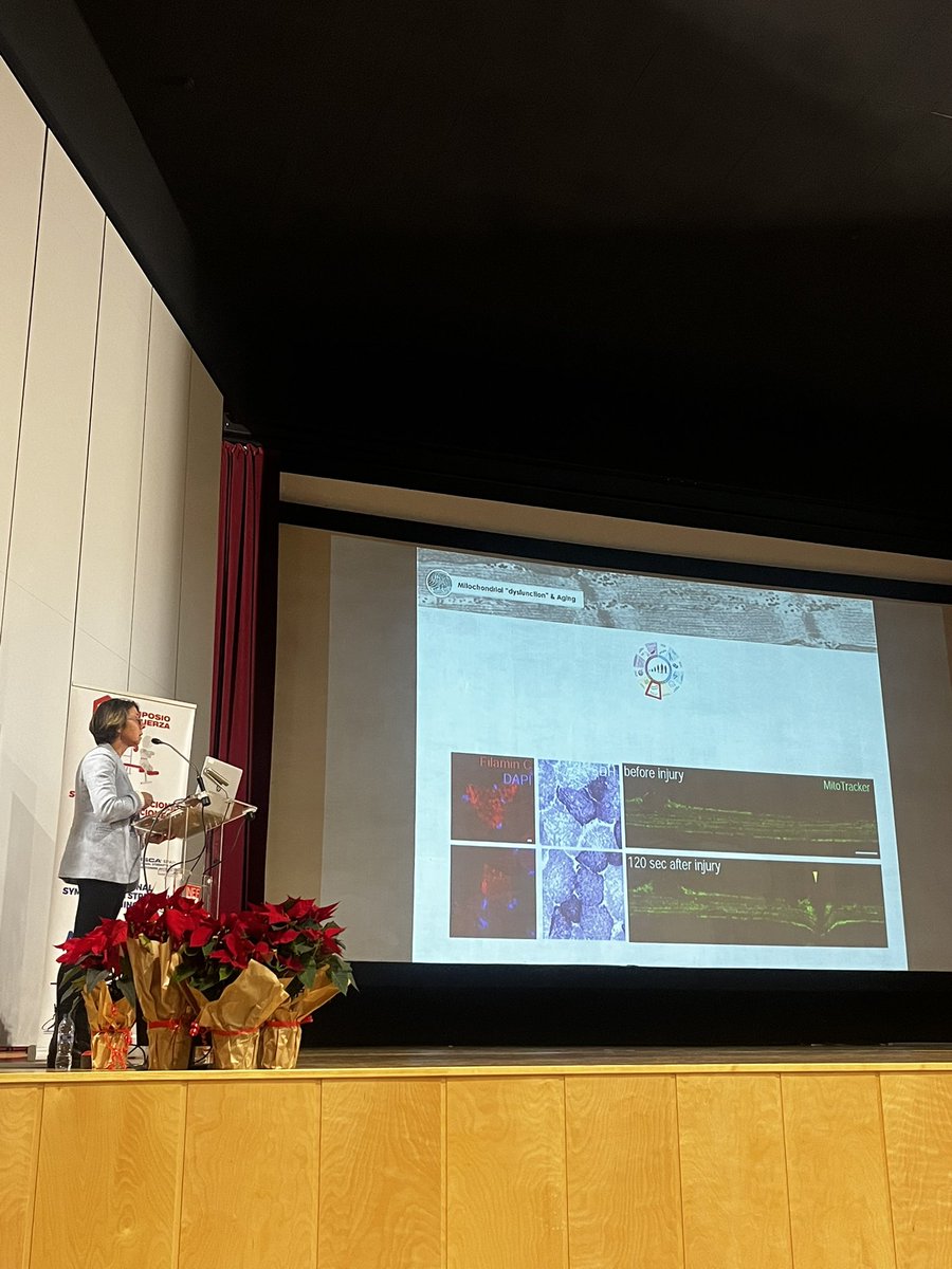Hacía mucho tiempo que no asistía a una clase tan bonita de fisiología muscular. Gracias <a href="/MCarmenGomezCab/">M. Carmen Gomez-Cabrera</a> por tu maravillosa presentación. Ver los núcleos y mitocondrias de nuestras células musculares desplazándose a la zona de daño muscular es espectacular 😍😍 <a href="/SimposioFuerza/">Simposio de Fuerza</a>