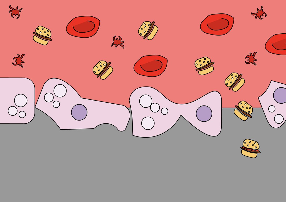 ImmuNinjas's tweet photo. Sneak peak! 🫀🍔 https://t.co/0HXRGA2h1F