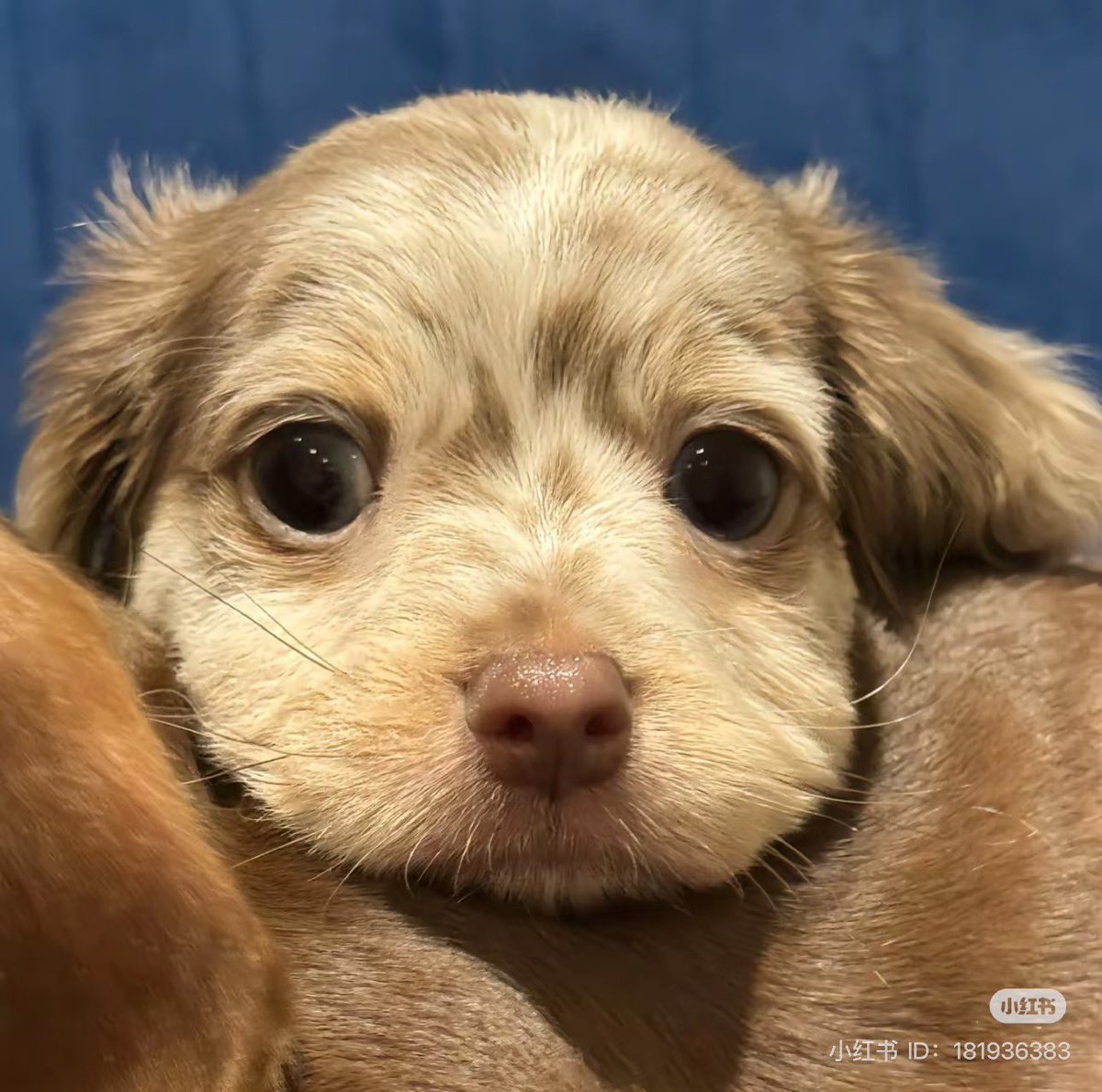 twaniimals's tweet photo. https://t.co/NQT37w8BRg
