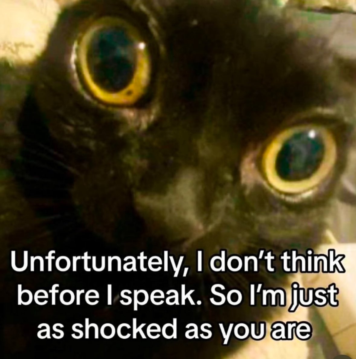 ✧ (@northstardoll) on Twitter photo 