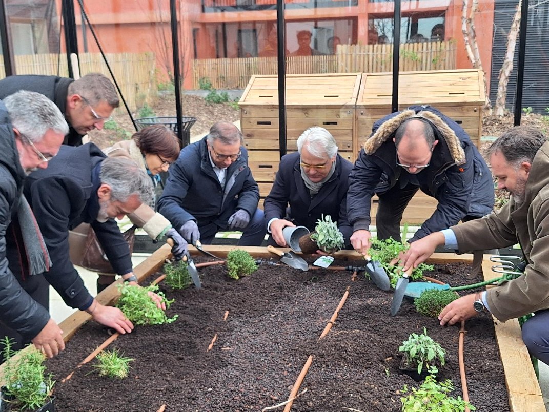 Annabelle Viollet tweet media