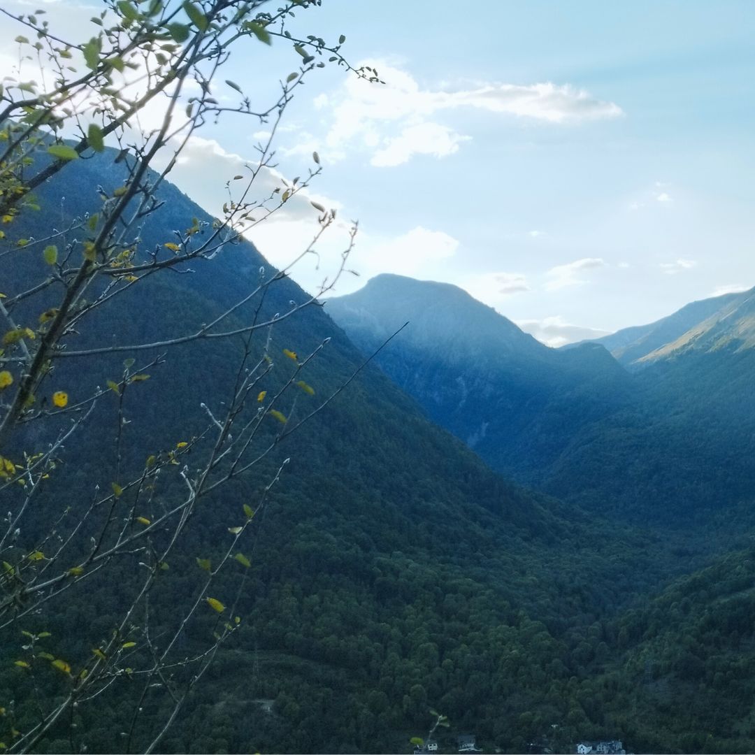 Our #EVP workshop with CM von Hausswolff and Michael Esposito was a real highlight of 2024 - the locations were just incredible - don't miss out in 2025! Last places remaining: campfr.com/onsite/evp