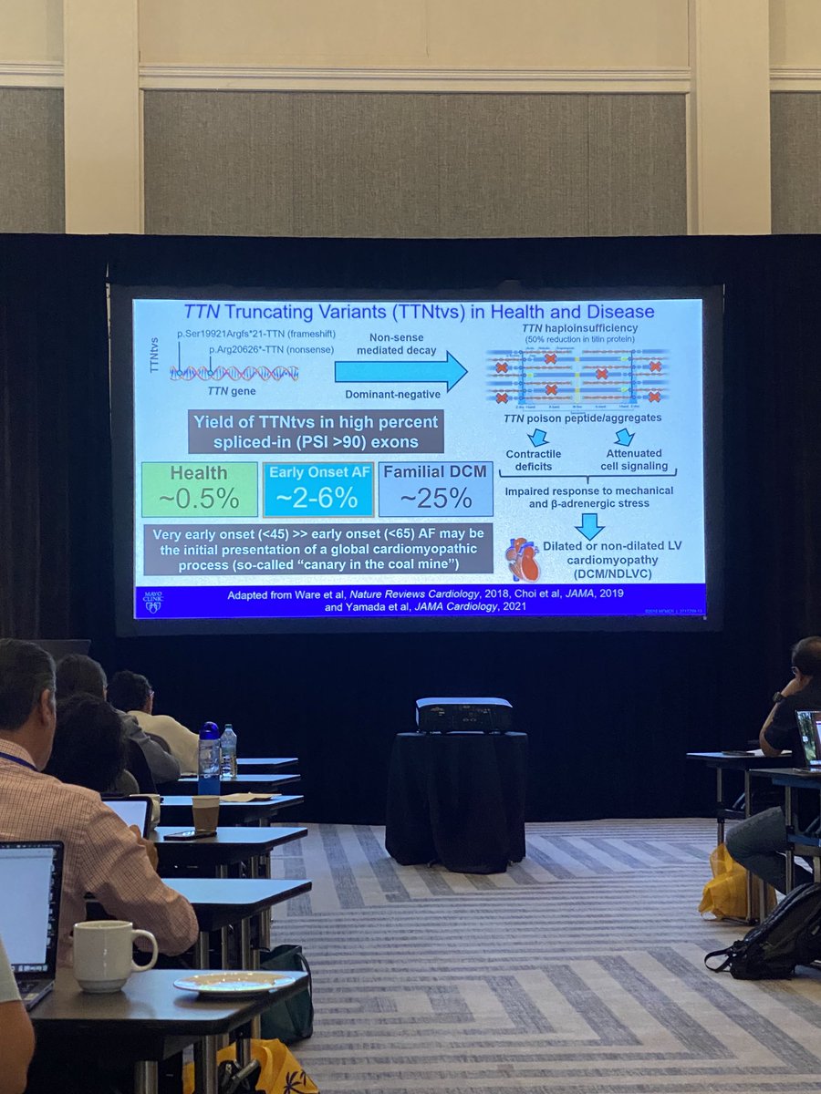 Michael J. Ackerman MD,PhD (@mjackermanmdphd) on Twitter photo So appreciate having <a href="/JohnGiudicessi/">John Giudicessi MD, PhD</a> as our 2nd <a href="/MayoClinicCV/">Mayo Clinic CV</a> #Genetic #Cardiologist <a href="/MayoClinic/">Mayo Clinic</a> in #Minnesota. Always love hearing how he elegantly unpacks the genetics of both atrial & ventricular fibrillation. Mayo, our patients, & I are blessed. So appreciate having <a href="/JohnGiudicessi/">John Giudicessi MD, PhD</a> as our 2nd <a href="/MayoClinicCV/">Mayo Clinic CV</a> #Genetic #Cardiologist <a href="/MayoClinic/">Mayo Clinic</a> in #Minnesota. Always love hearing how he elegantly unpacks the genetics of both atrial & ventricular fibrillation. Mayo, our patients, & I are blessed.
