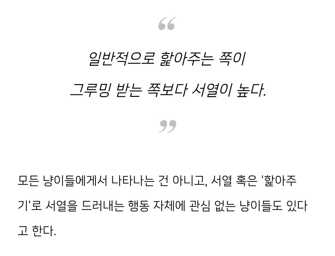 제가 고양이를 못 키워봐서 잘 모르긴 하는데요 이게 진짜라면... 너무 좋고 웃겨서 행복해질 것 같습니다 기려냥 지금 본인이 강창호 제치고 집안 서열 1위라고 생각하고 있을 것 같아요ㅠㅠ